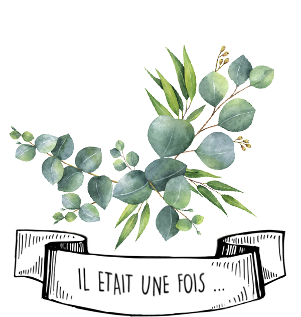 Olyaris - Hule Essentielle d'Eucalyptus radié : Tout savoir